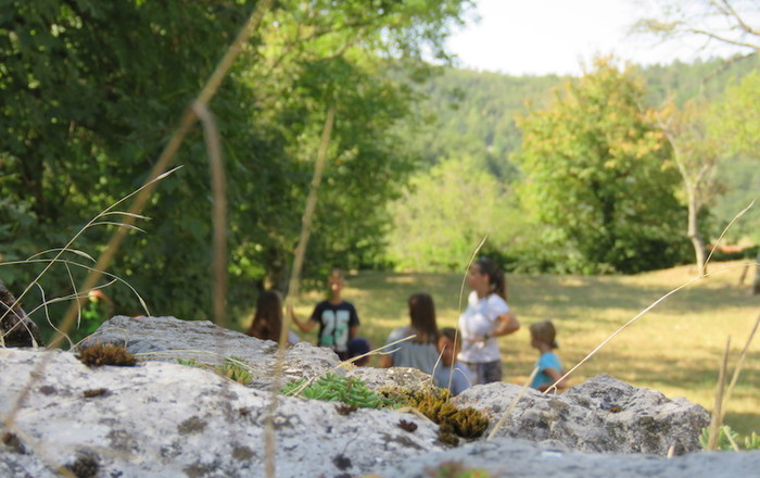 osma-poletna-delavnica-