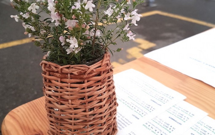 pletli-smo-na-kozini-