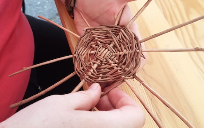 pletli-smo-na-kozini-