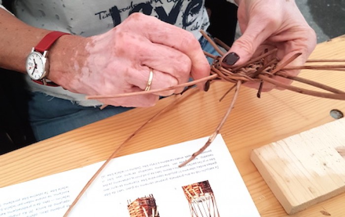 pletli-smo-na-kozini-