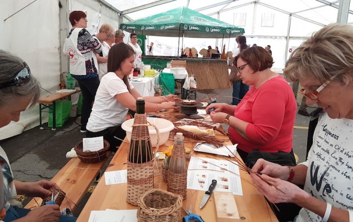 pletli-smo-na-kozini-