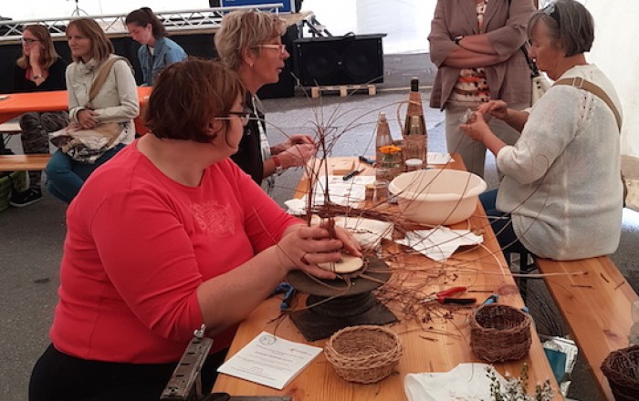 pletli-smo-na-kozini-