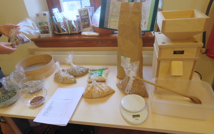 palacinke-so-bile-odlicne-