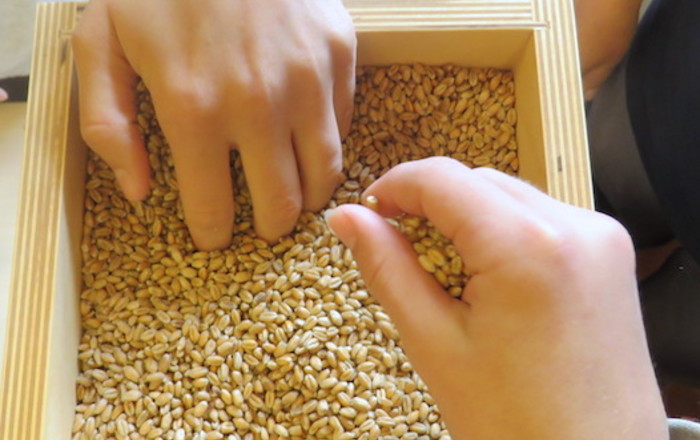 palacinke-so-bile-odlicne-