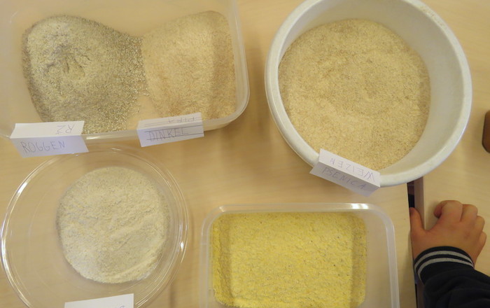 palacinke-so-bile-odlicne-