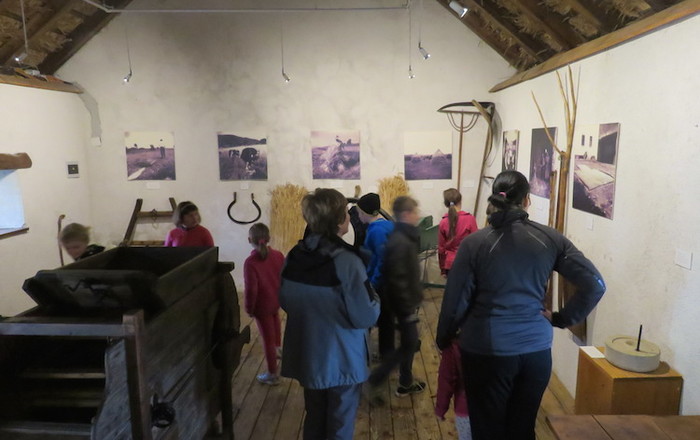 palacinke-so-bile-odlicne-