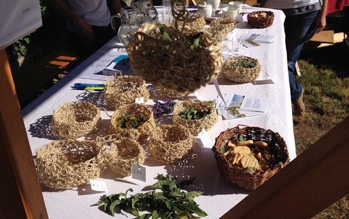 občinski-praznik-v-komnu-