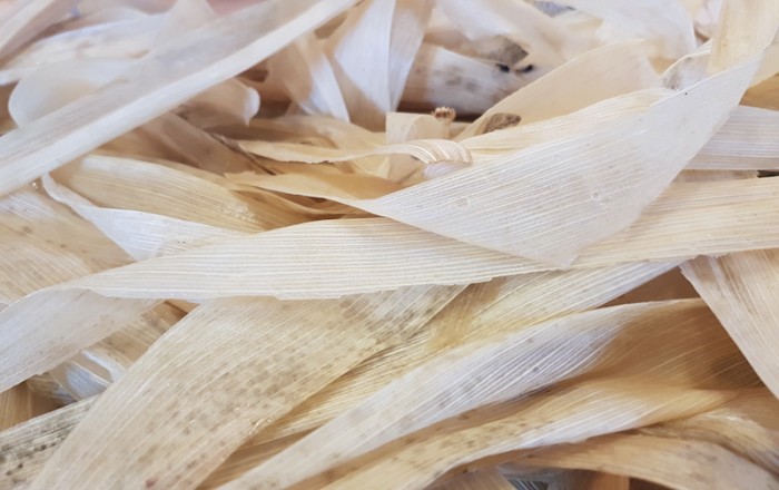 kitke-iz-ličja-so-tu-