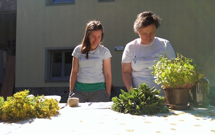 cvetoče-polici-na-domačiji-lojtrnik-