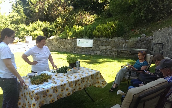 cvetoče-polici-na-domačiji-lojtrnik-