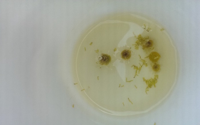 cvetoče-polici-na-domačiji-lojtrnik-