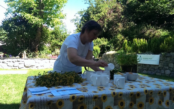 cvetoče-polici-na-domačiji-lojtrnik-