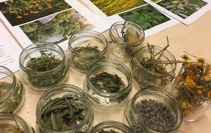 zeliscni-vrt-s-cmrlji-