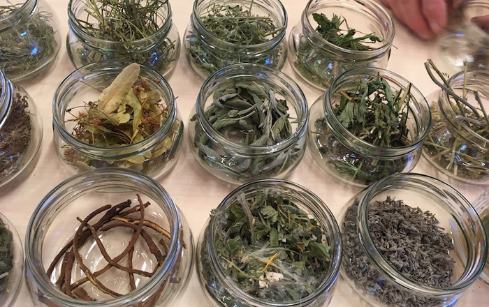 zeliscni-vrt-s-cmrlji-