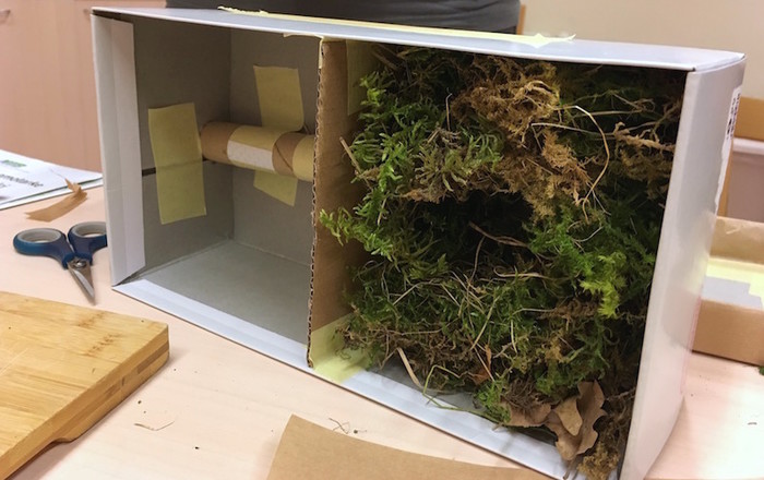 zeliscni-vrt-s-cmrlji-