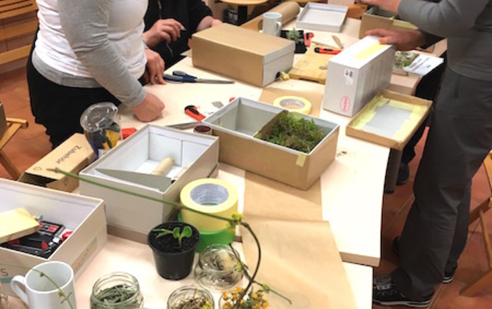 zeliscni-vrt-s-cmrlji-