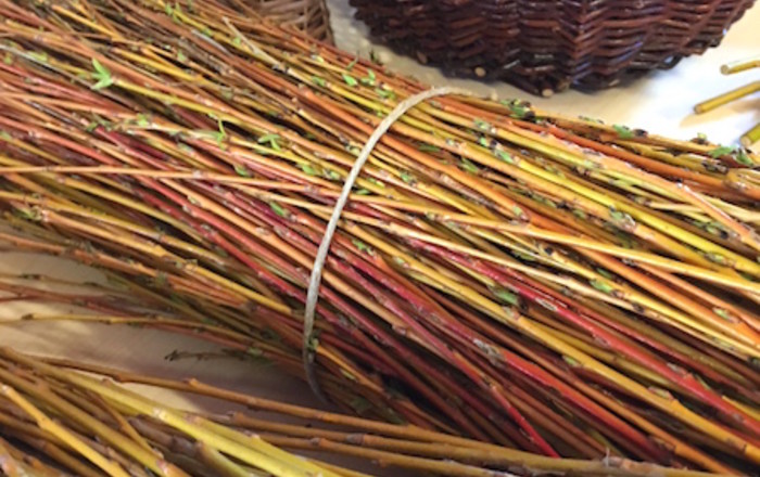 prvi-del-pletenja-kosar-je-za-nami-