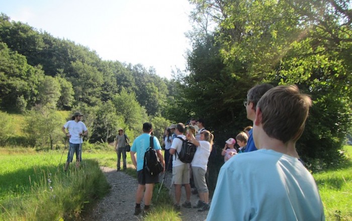 pokrajina-prednikov-dolenje-vasi-