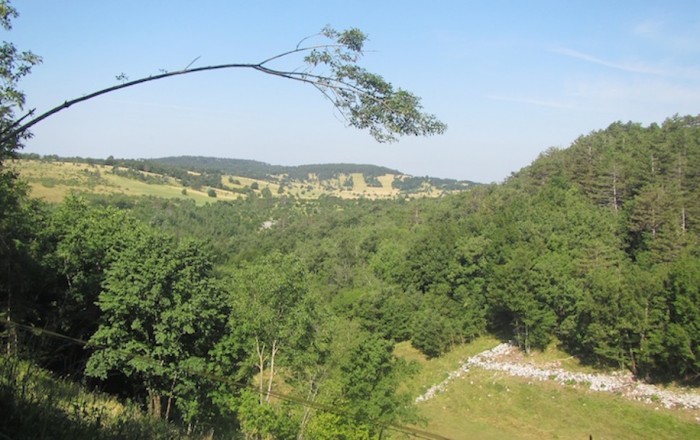 pokrajina-prednikov-dolenje-vasi-