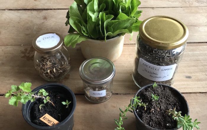 uspesen-pomladanski-rast-