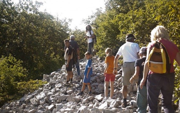 dobra-pot-na-sežanskem-občinskem-prazniku-