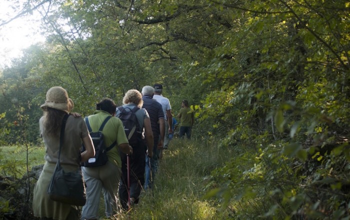 dobra-pot-na-sežanskem-občinskem-prazniku-