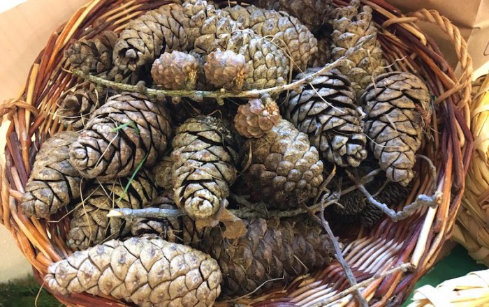 spletali-smo-adventne-vencke-