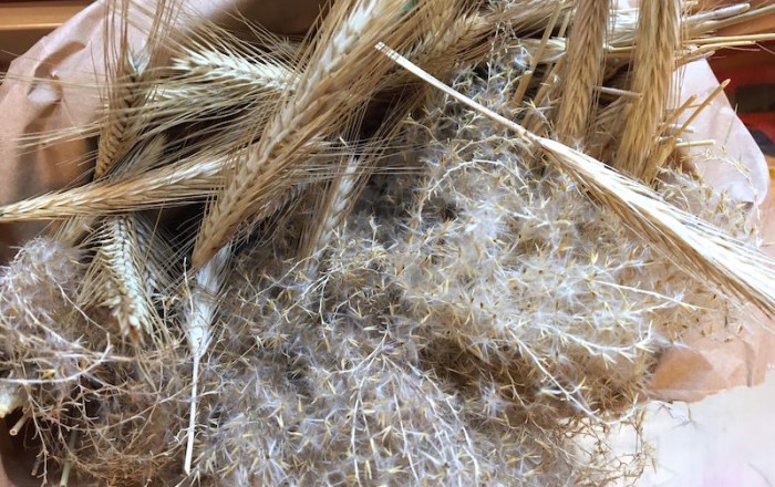 spletali-smo-adventne-vencke-