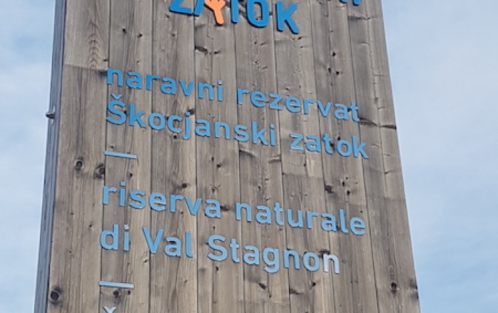 spletli-smo-peharje-iz-navadnega-trsta-