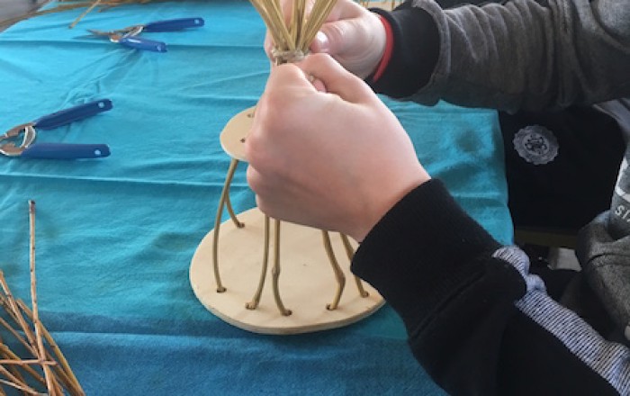 pticje-hiske-so-nared-