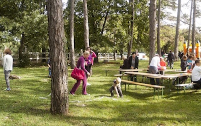 pisani-svet-med-belimi-konji-v-lipici-