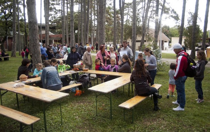 pisani-svet-med-belimi-konji-v-lipici-