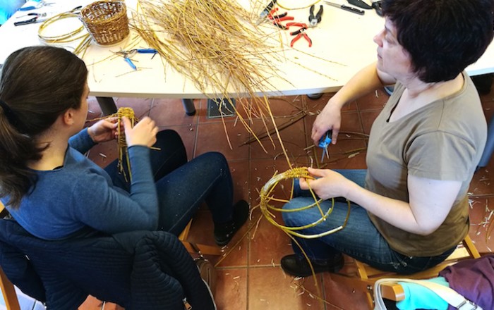 prvi-del-kosar-narejen-