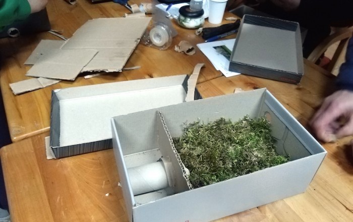 zeliscarska-delavnica-pod-nanosom-