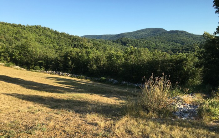 na-prazniku-obcine-divaca-