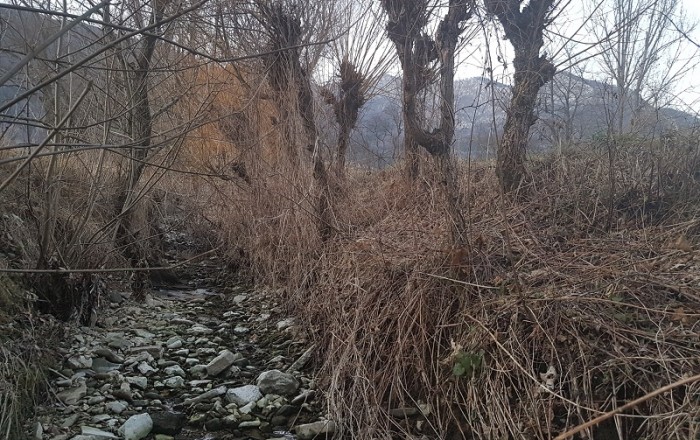 pletenje-kosar-v-svetem-