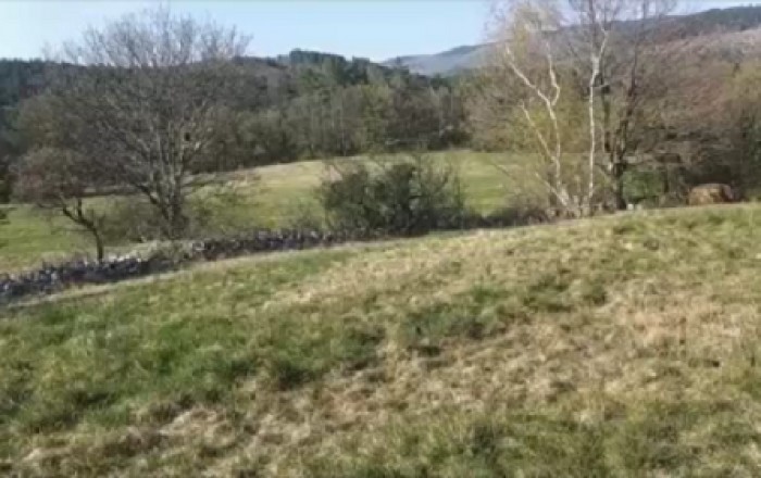 ogled-arheoloskega-najdisca-