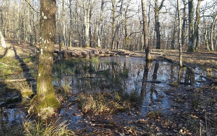 predstavitev-gradisca-ajdovscina-nad-rodikom-