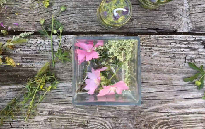 vodne-svece-s-cvetjem-