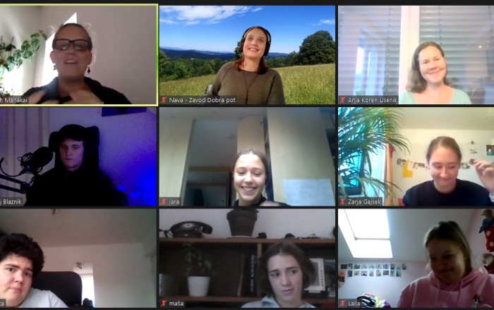 mladi-in-dediscina-tk-sem-wsl-