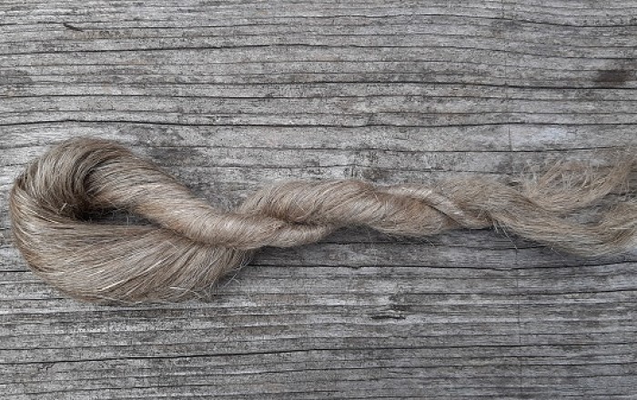 od-rastline-do-prediva-