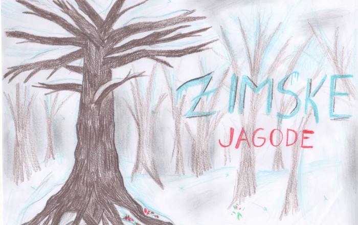 zimske-jagode-