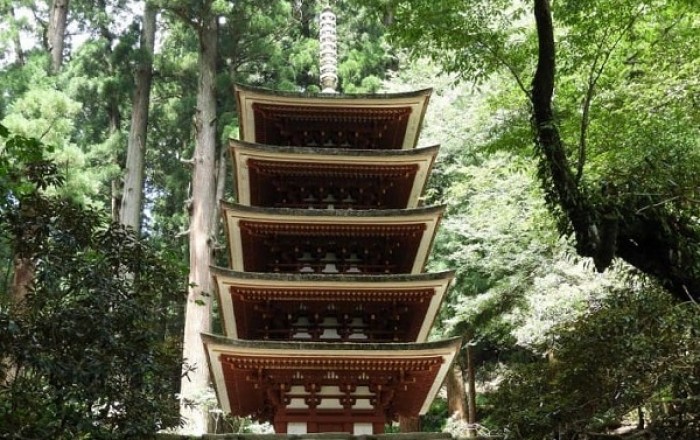 odkrivanje-dediscine-slo1-