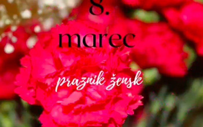 mlademisli-priprave-