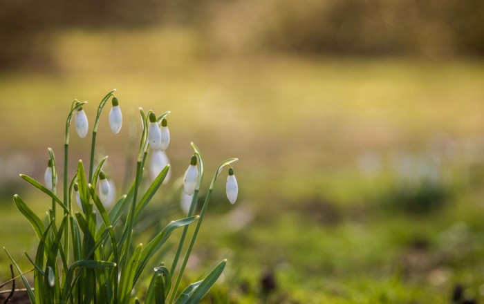 mlademisli-zaključek-