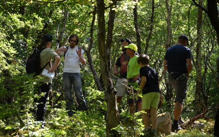 pohod-do-gradisca-koskladnik-