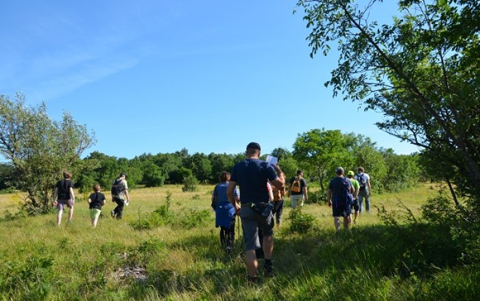 pohod-do-gradisca-koskladnik-