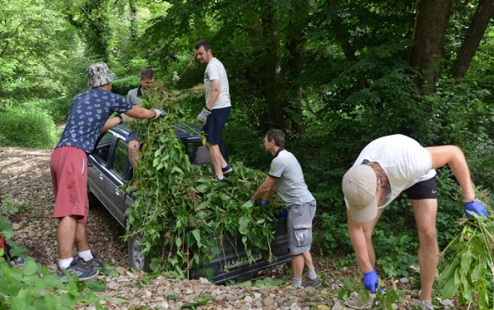 ciscenje-invazivnih-rastlin-
