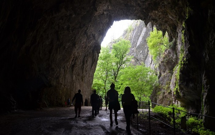 ciscenje-invazivnih-rastlin-