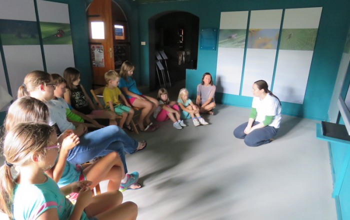 sedma,-zadnja-poletna-delavnica-